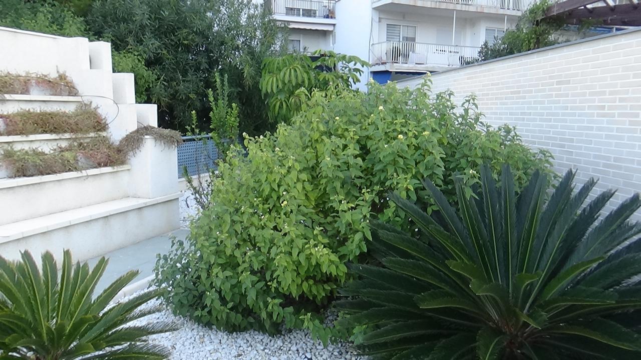 Aпартаменты В San Juan Playa Alicante Exterior photo